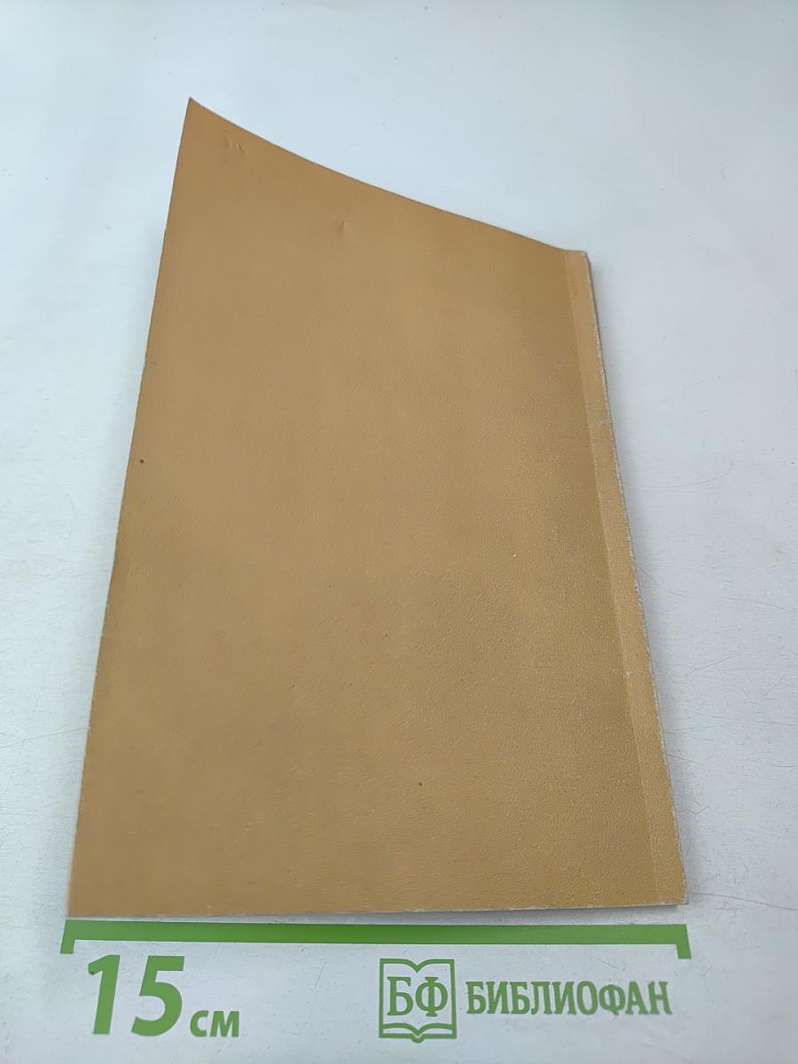 Жизнь, подвиги и чудотворения старца Серафима Вырицкого