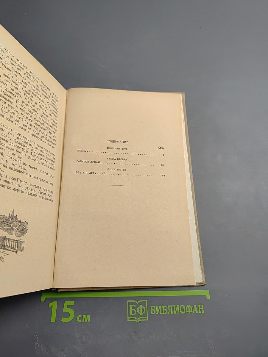 Знаменосцы