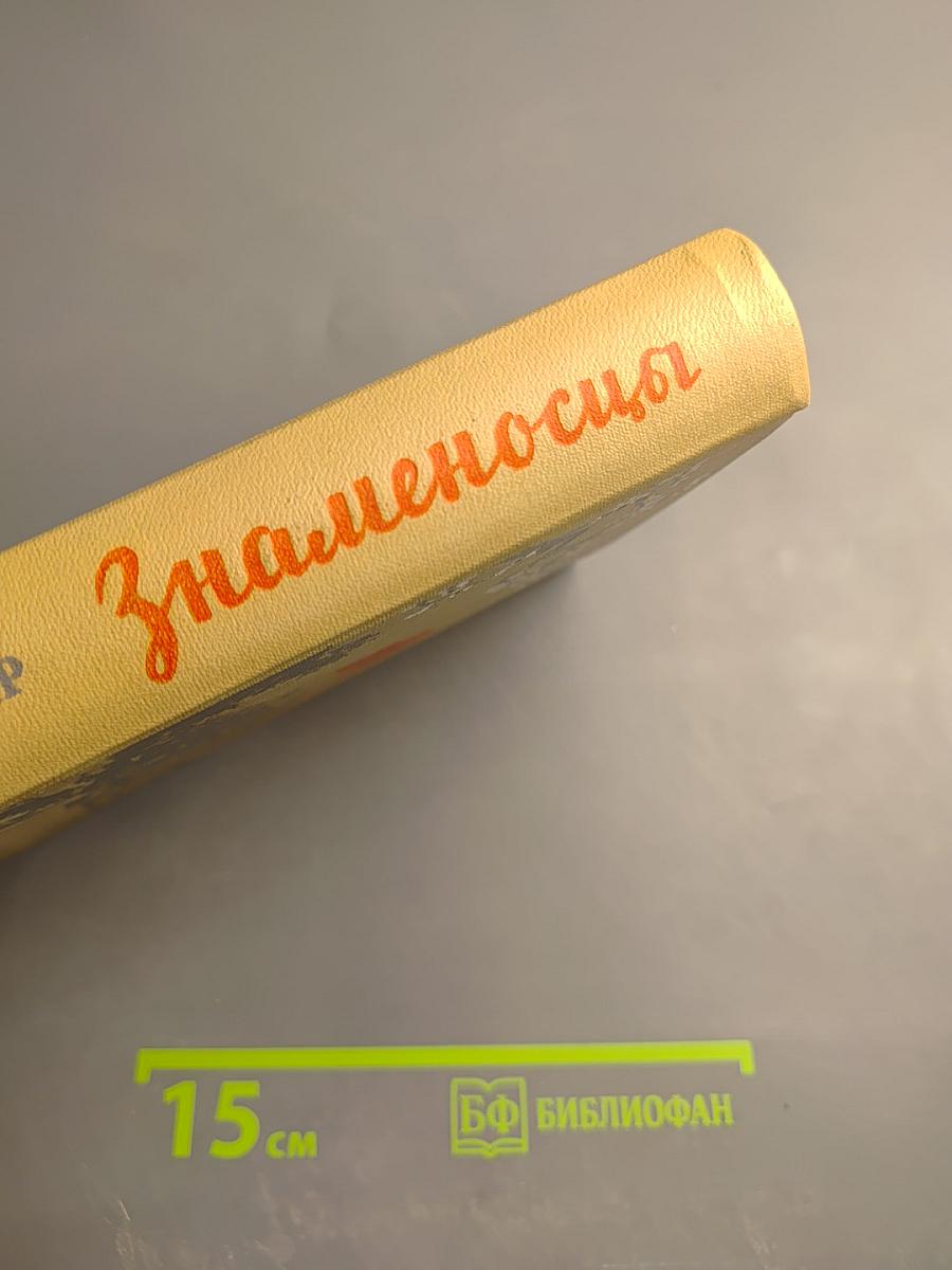 Знаменосцы