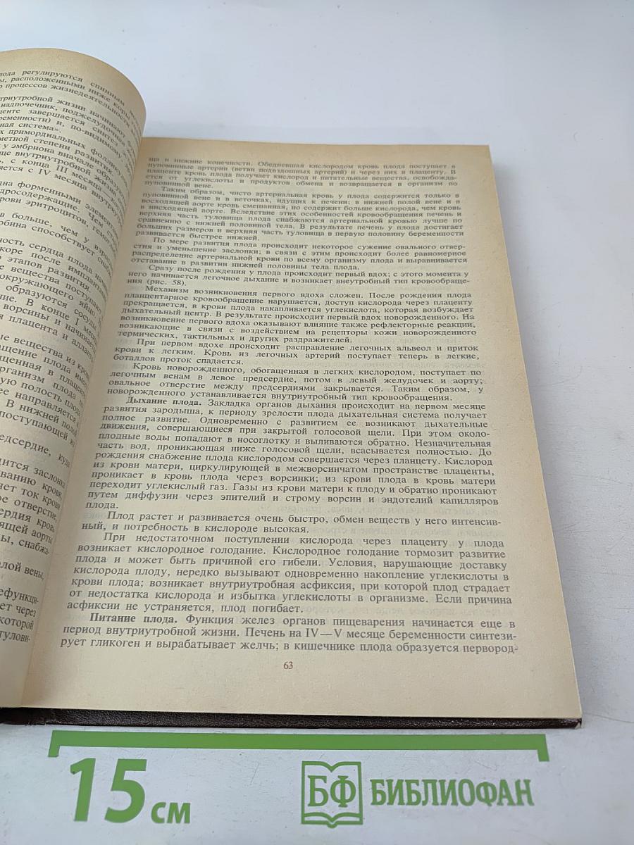 Акушерство