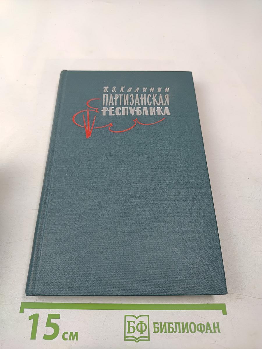 Партизанская республика