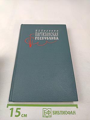 Партизанская республика