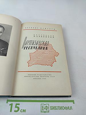 Партизанская республика