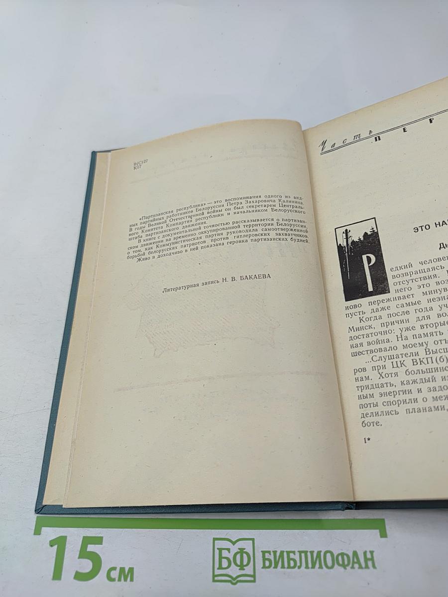 Партизанская республика