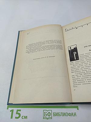 Партизанская республика