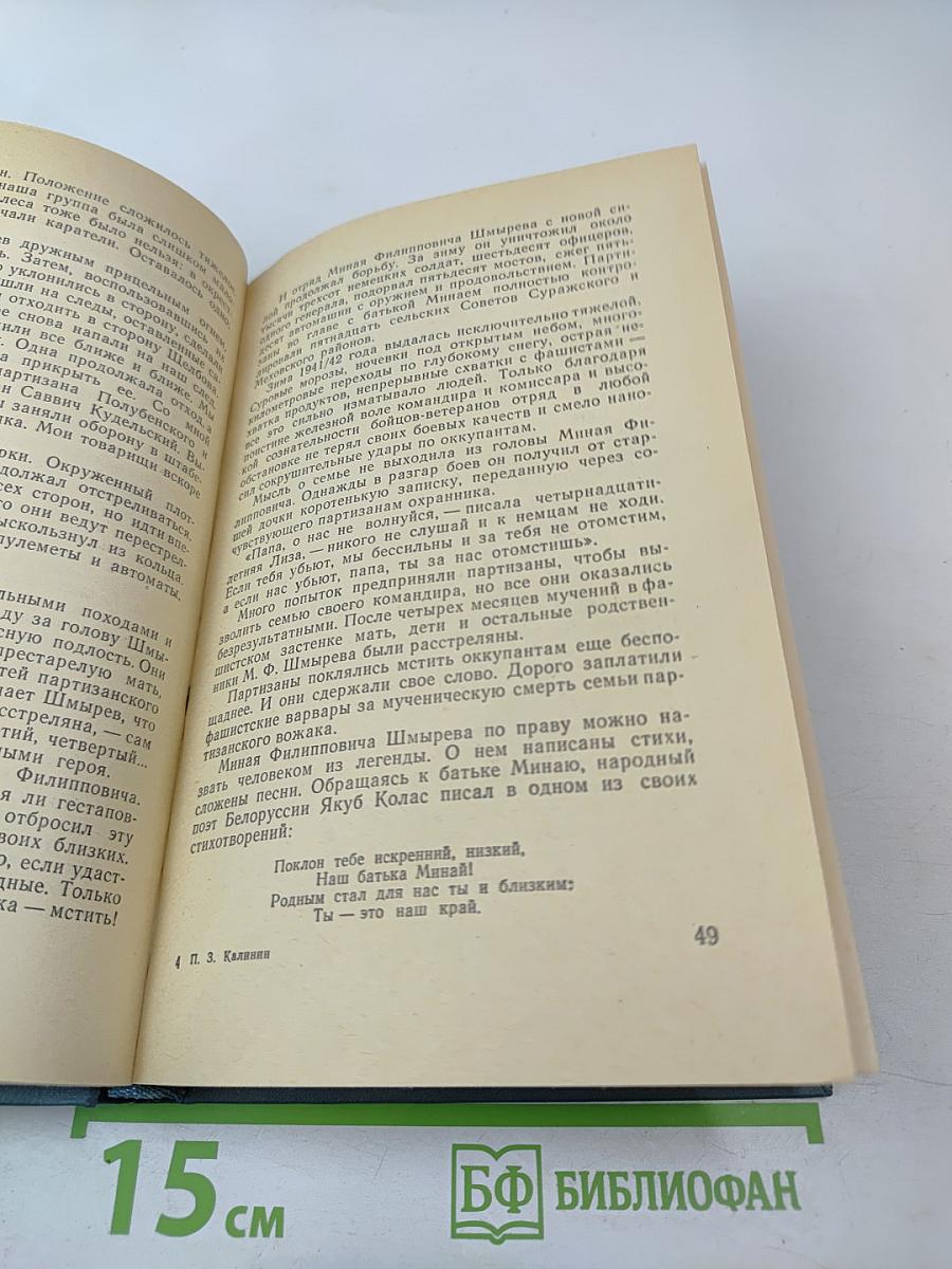 Партизанская республика