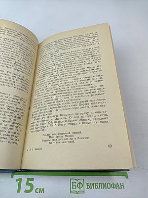 Партизанская республика