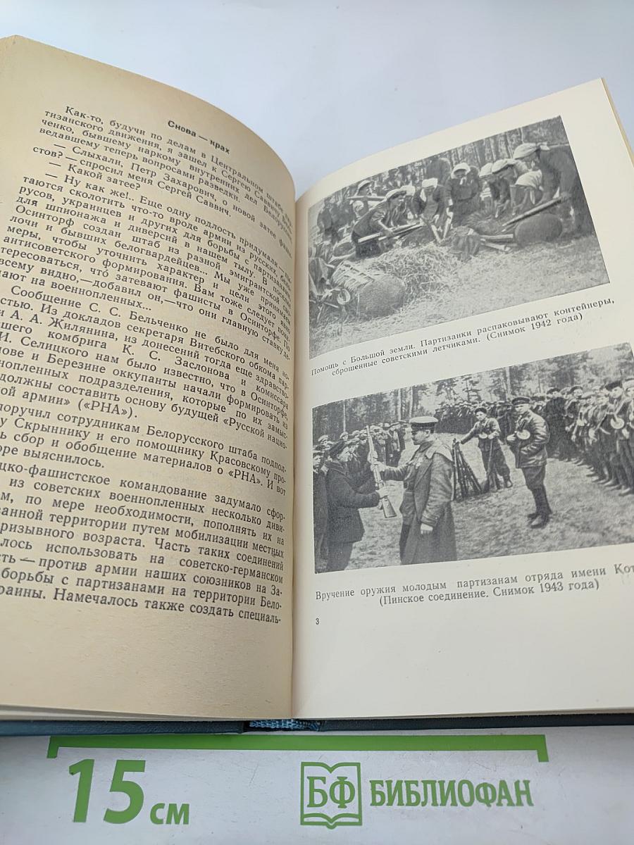 Партизанская республика