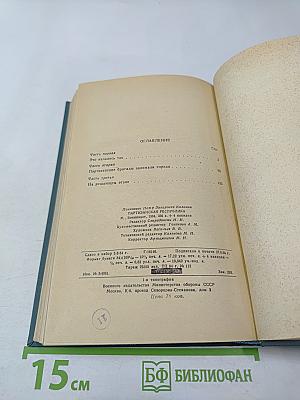 Партизанская республика