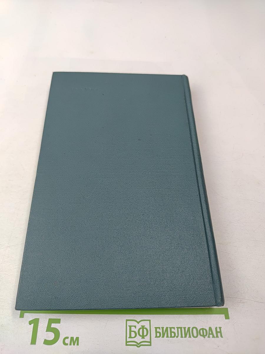 Партизанская республика