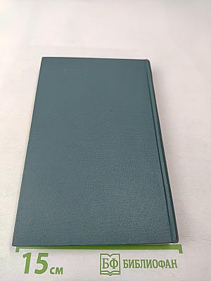 Партизанская республика