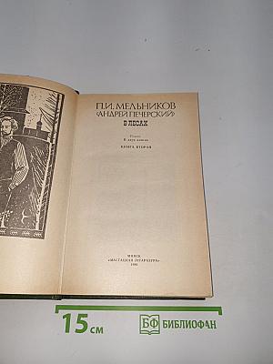 В лесах. Книга вторая