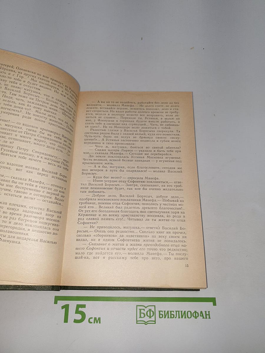 В лесах. Книга вторая