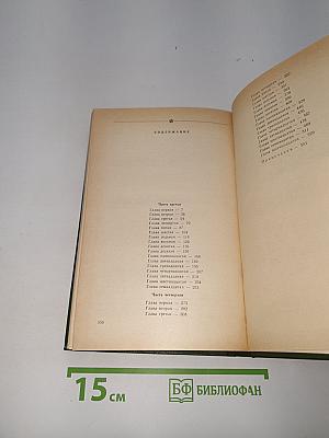 В лесах. Книга вторая