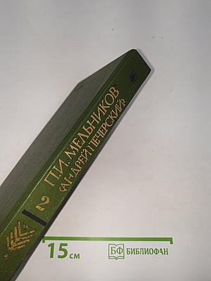 В лесах. Книга вторая