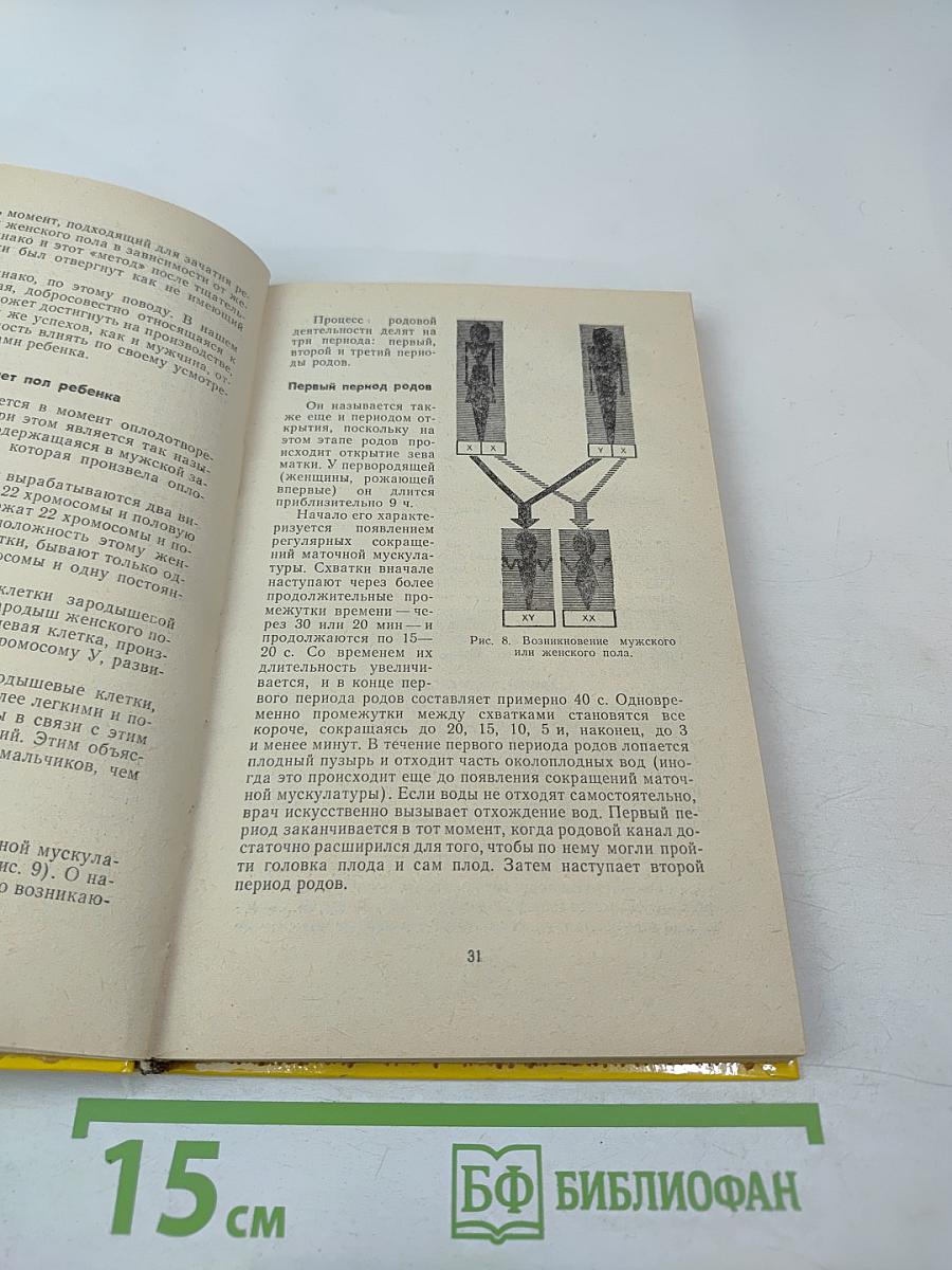 Искусство вести здоровый образ жизни