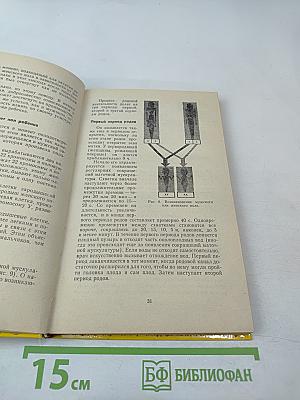 Искусство вести здоровый образ жизни