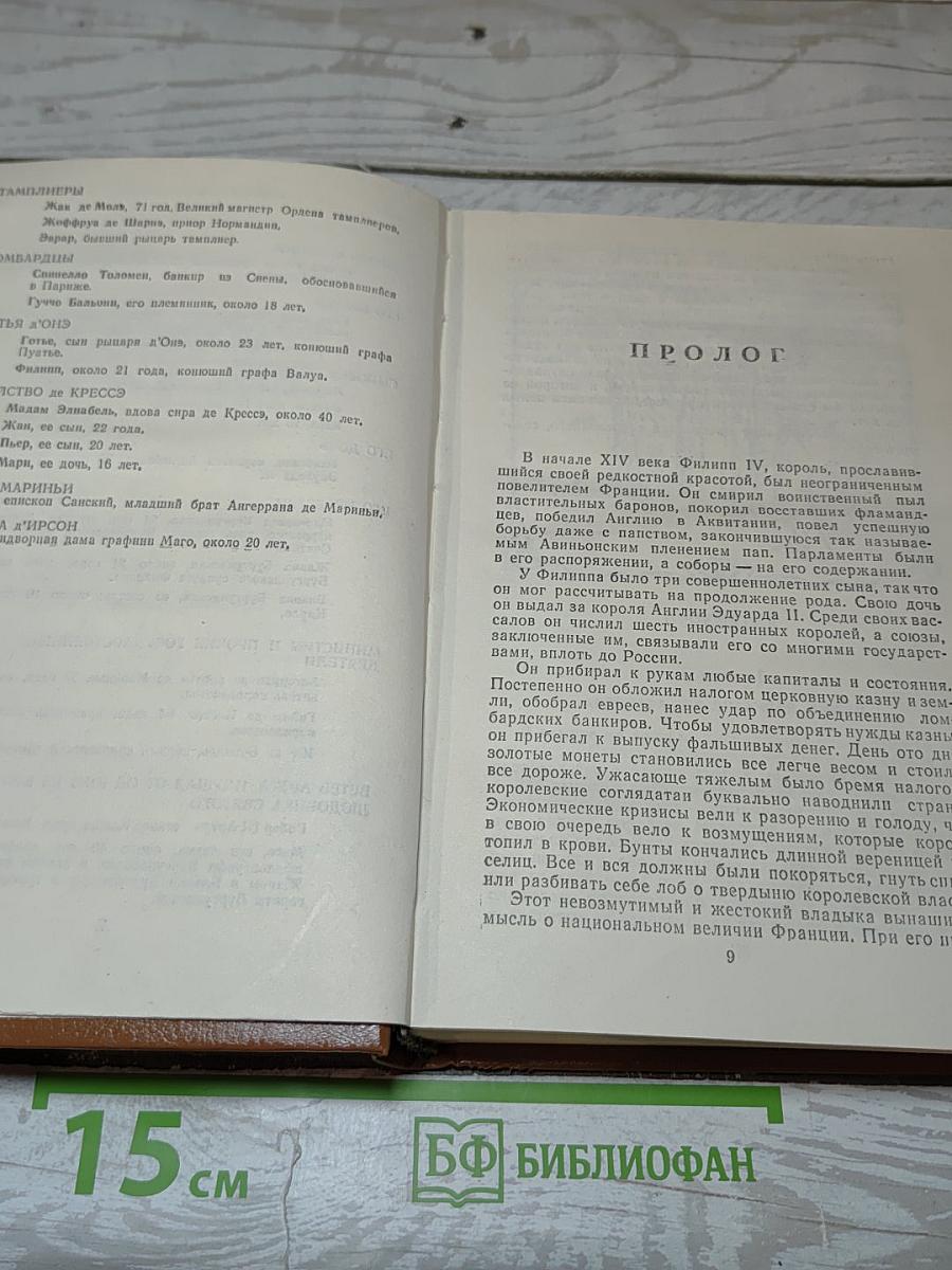 Железный король. Узница Шато-Гайара
