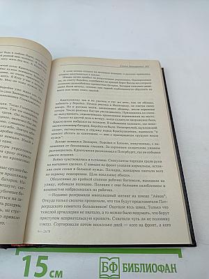 Семья Звонаревых. Книга вторая