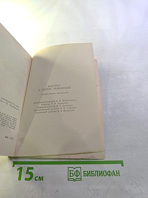 Выстрел в сердце революции