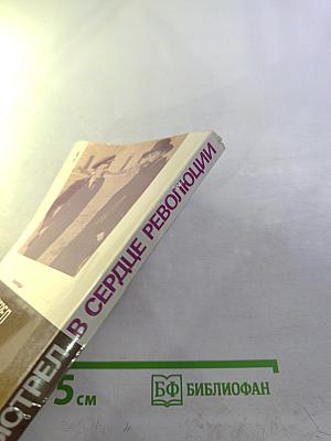 Выстрел в сердце революции