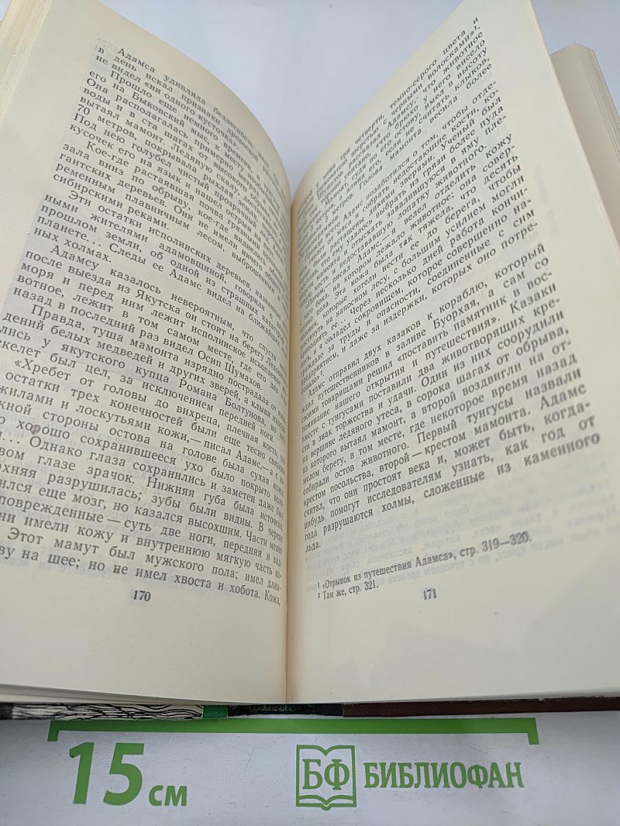 В погоне за тайной века