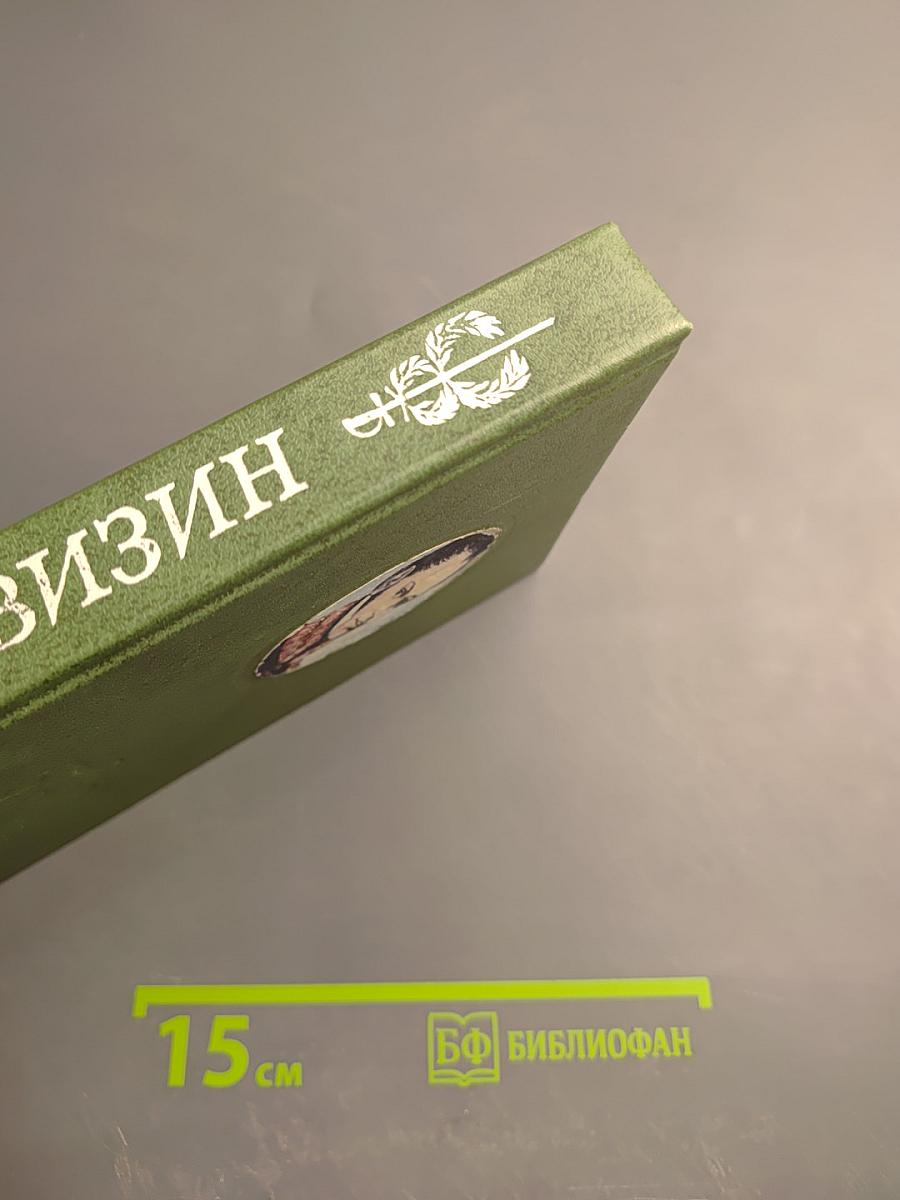 Сочинения и письма. Том I. Дневник и письма