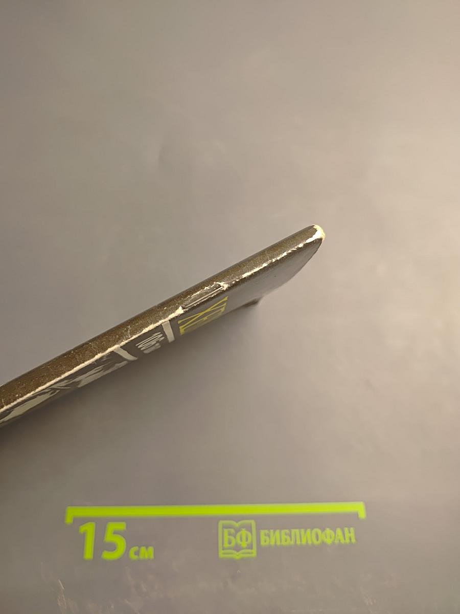 Большой налет. 106 тысяч за голову: Повести