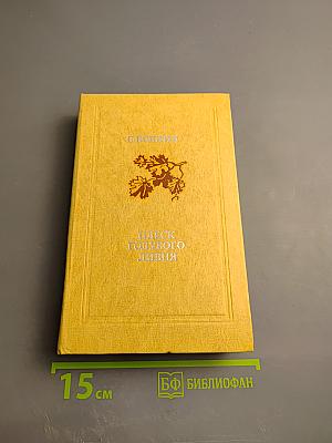 Плеск голубого ливня