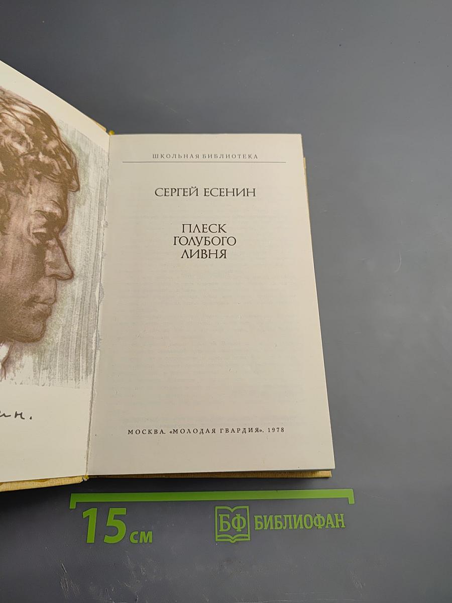 Плеск голубого ливня