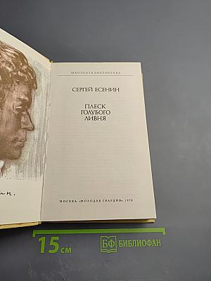 Плеск голубого ливня