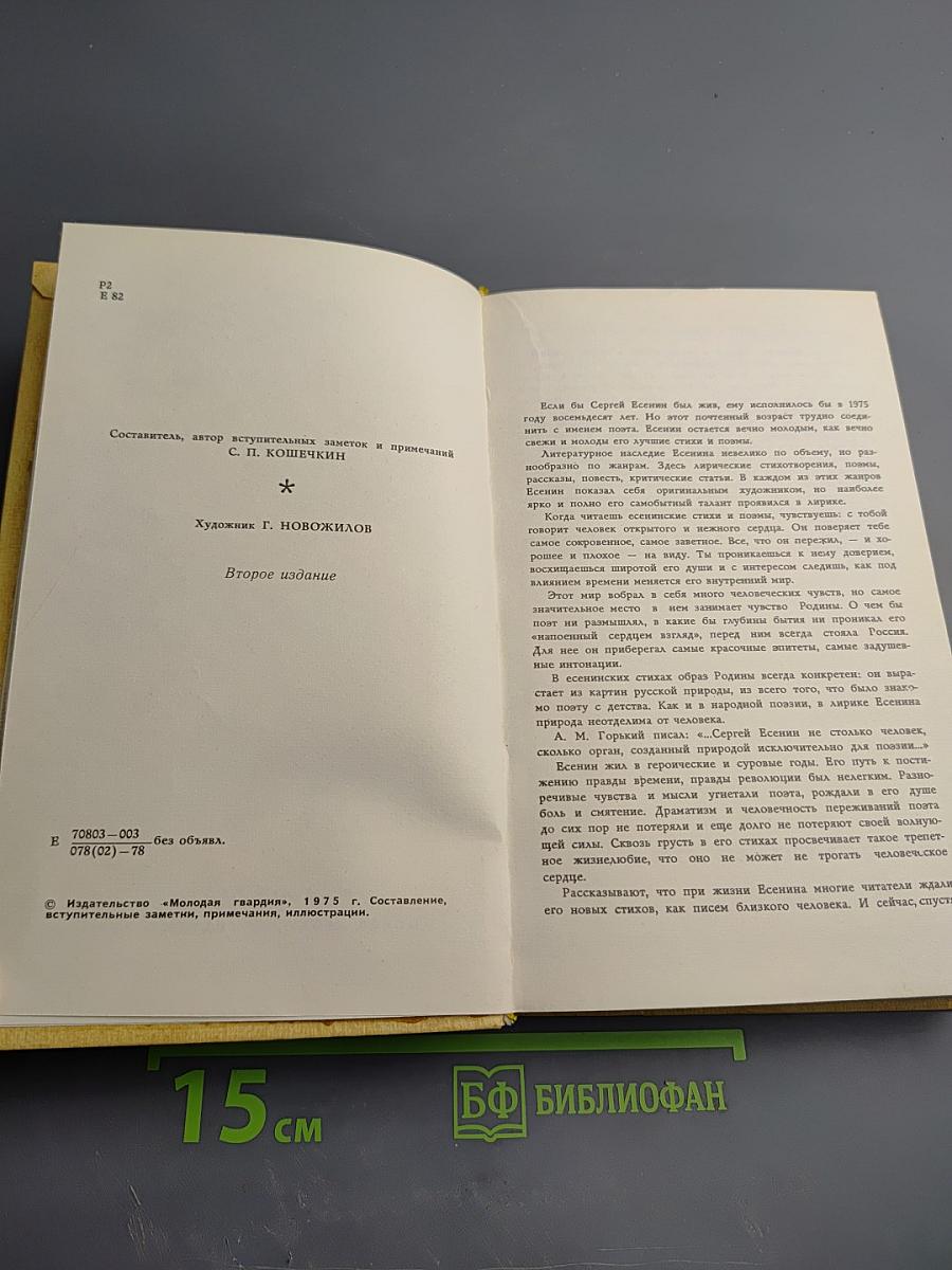 Плеск голубого ливня