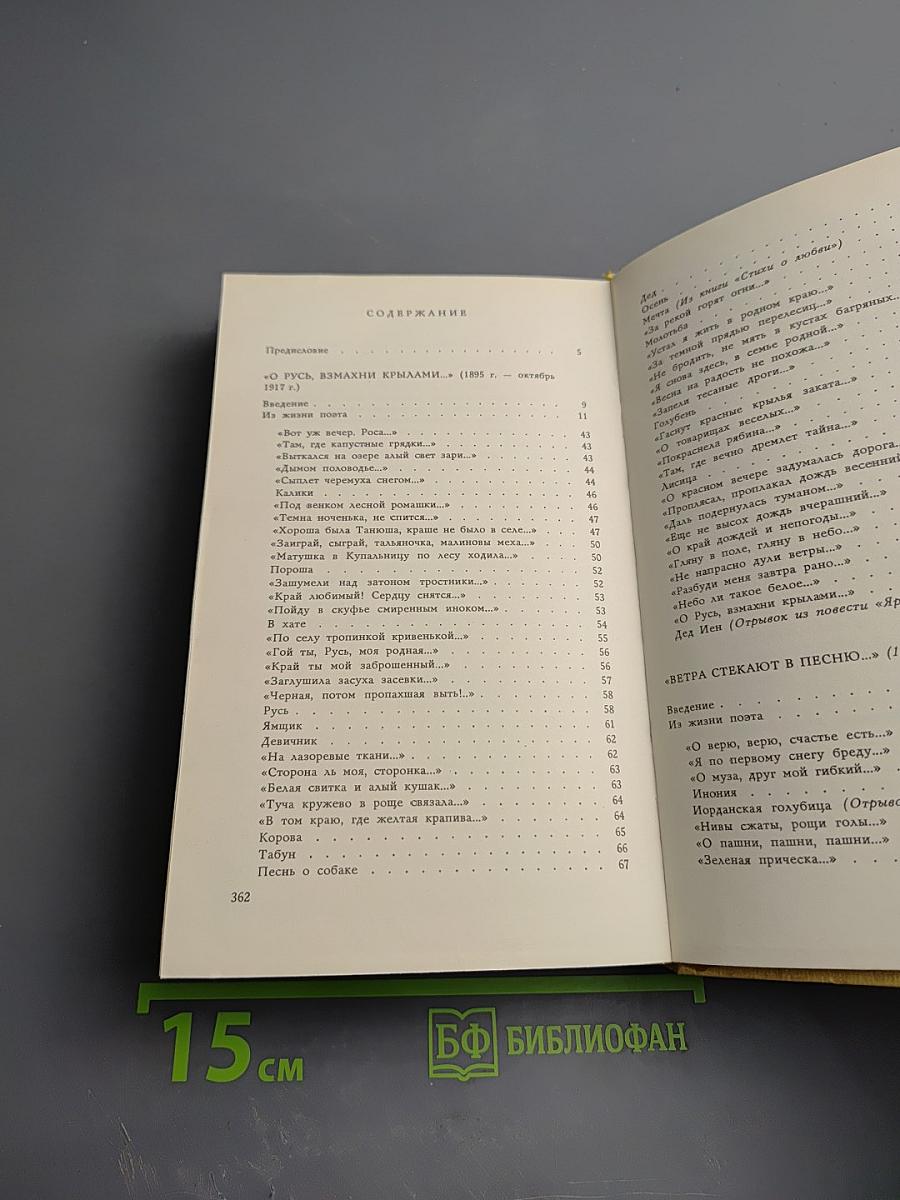 Плеск голубого ливня