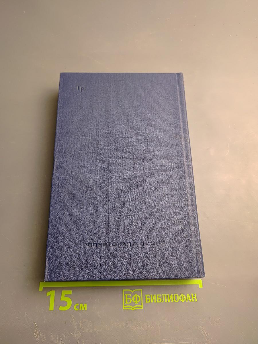 Дневники военных лет (1943, 1945 гг.)