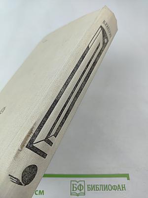 Вечерний день