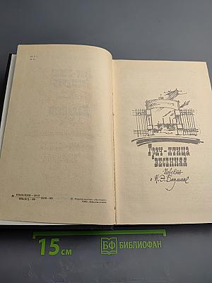 Грач-птица весенняя. Повесть о Н. Э. Баумане. Накануне 1917 года