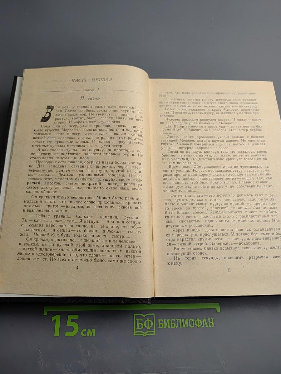 Грач-птица весенняя. Повесть о Н. Э. Баумане. Накануне 1917 года