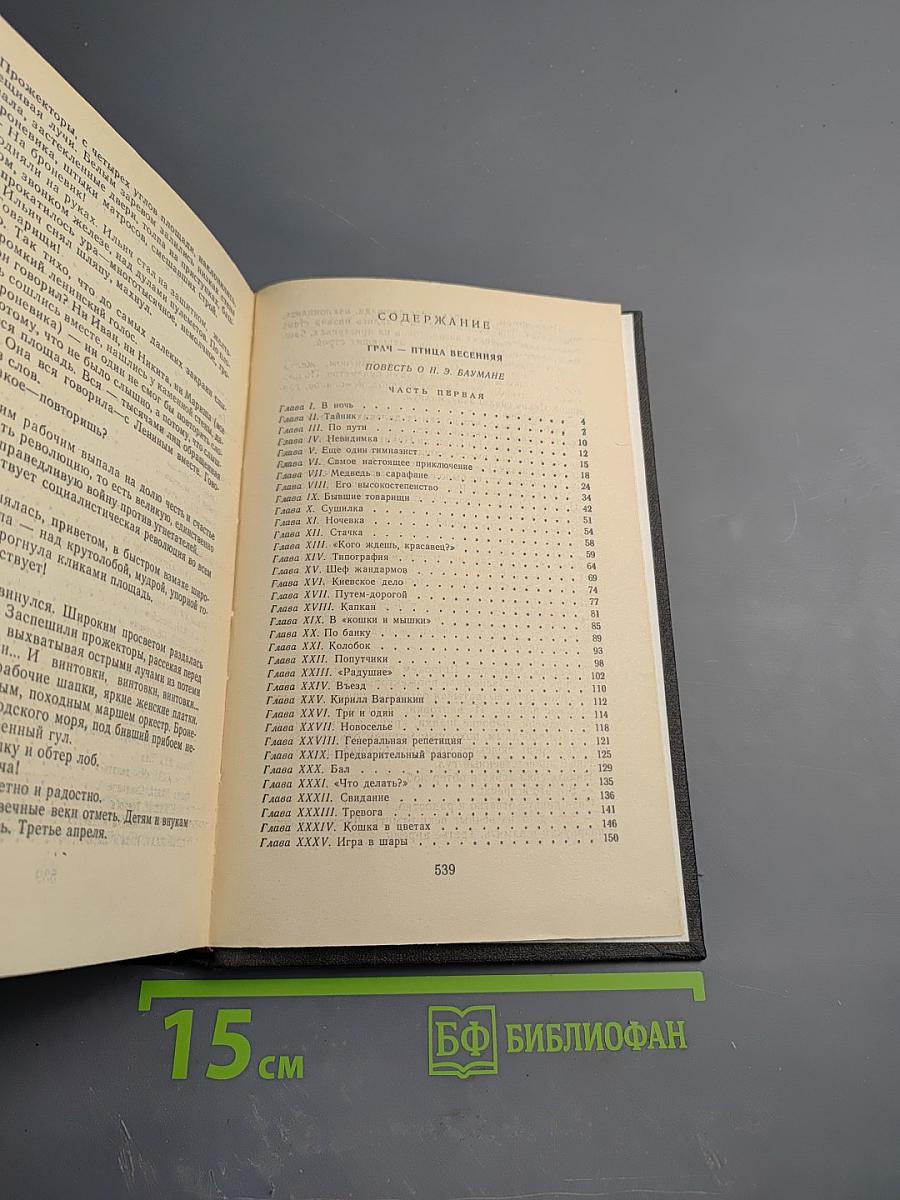 Грач-птица весенняя. Повесть о Н. Э. Баумане. Накануне 1917 года