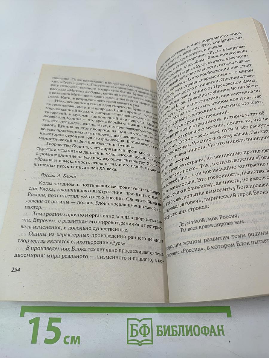 Путеводитель по темам выпускных и вступительных сочинений. Русская литература XIX – XX вв.
