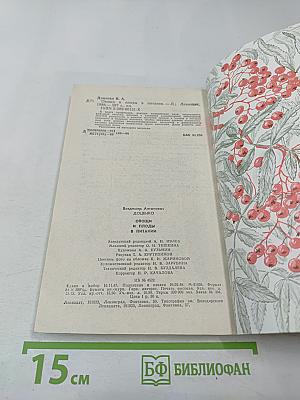 Овощи и плоды в питании