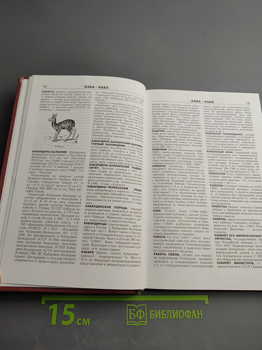 Новая иллюстрированная энциклопедия. Кн. 8. Ит-Кл