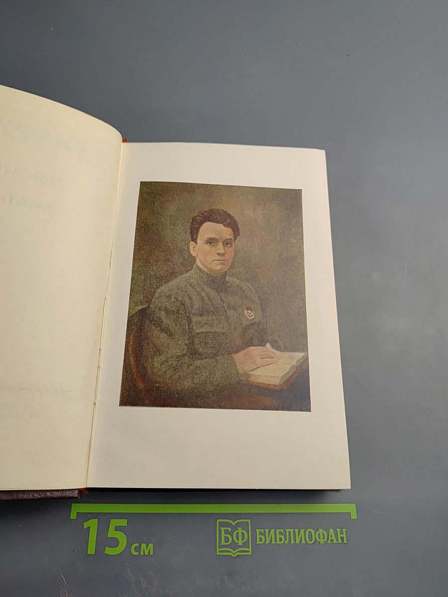 Чапаев. Том первый