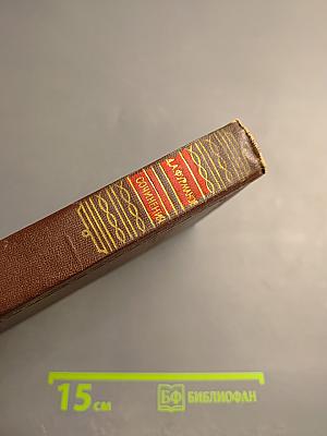 Чапаев. Том первый