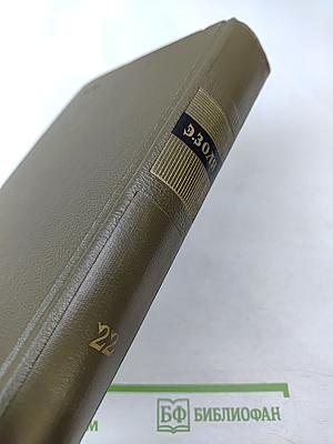 Собрание сочинений. Том двадцать второй. Четвероевангелие. Истина