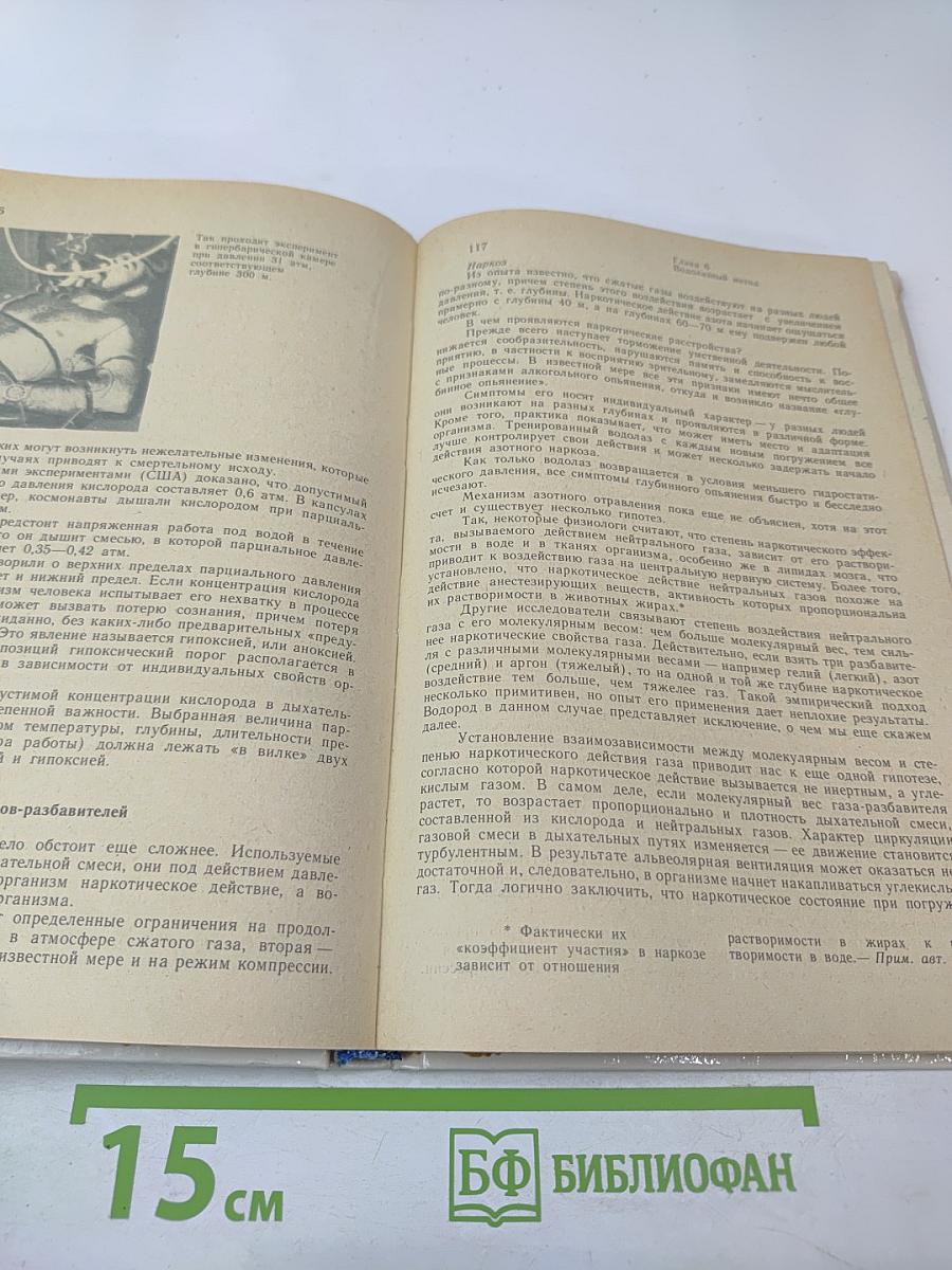 Будущее – океан