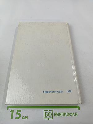 Будущее – океан