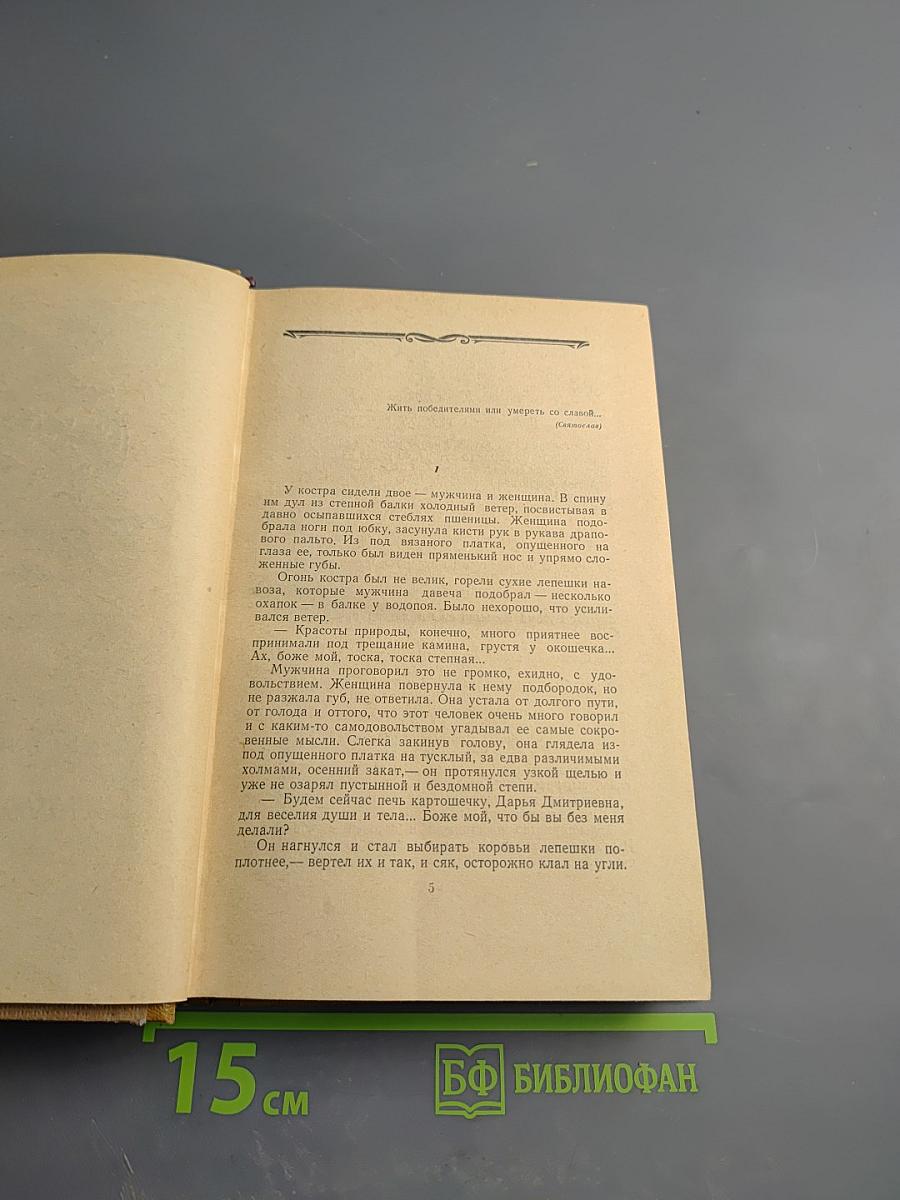 Хождение по мукам. Книга третья. Хмурое утро