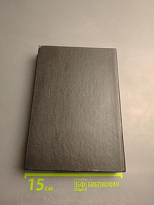 Степан Разин. Книга первая