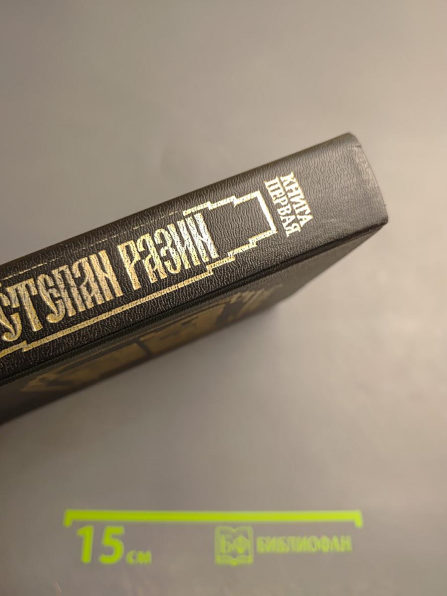 Степан Разин. Книга первая