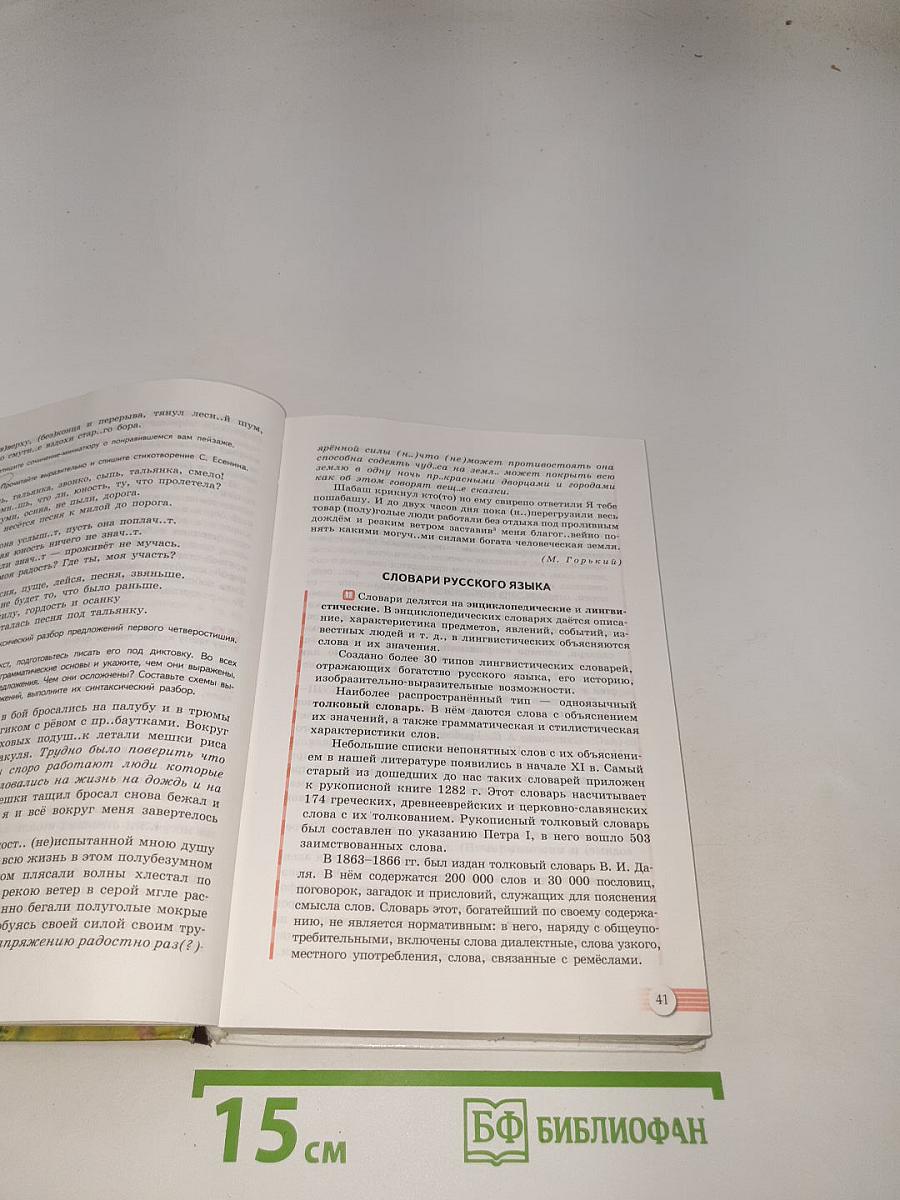 Русский язык. 10-11 классы. Базовый уровень